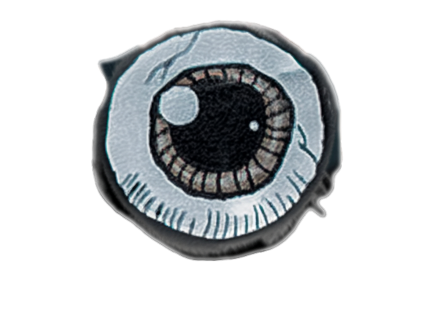 Eye Portal